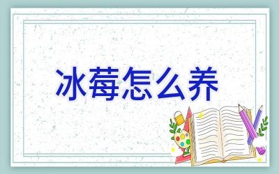 冰莓怎么养插图