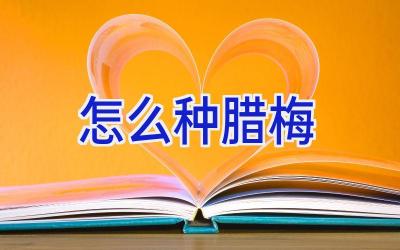 怎么种腊梅插图