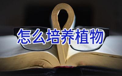 怎么培养植物插图