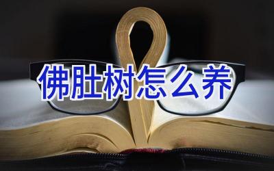 佛肚树怎么养插图 佛肚树怎么养插图