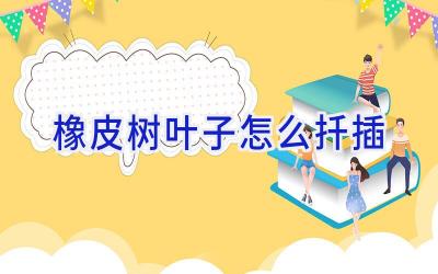 橡皮树叶子怎么扦插插图 橡皮树叶子怎么扦插插图