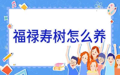 福禄寿树怎么养插图 福禄寿树怎么养插图