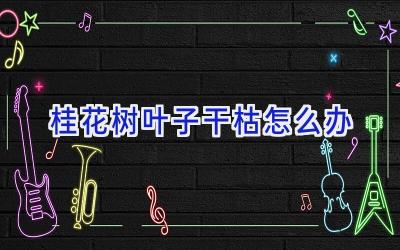 桂花树叶子干枯怎么办插图