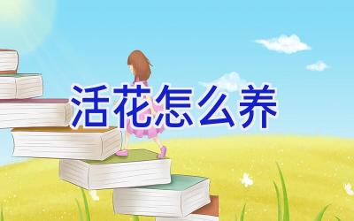活花怎么养插图 活花怎么养插图