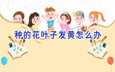 种的花叶子发黄怎么办插图