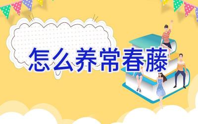 怎么养常春藤插图 怎么养常春藤插图