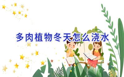 多肉植物冬天怎么浇水插图 多肉植物冬天怎么浇水插图