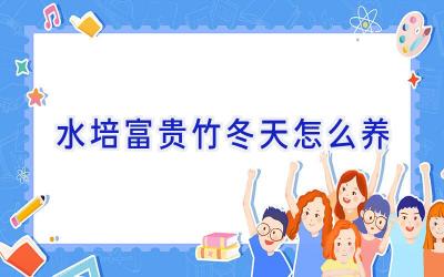 水培富贵竹冬天怎么养插图 水培富贵竹冬天怎么养插图
