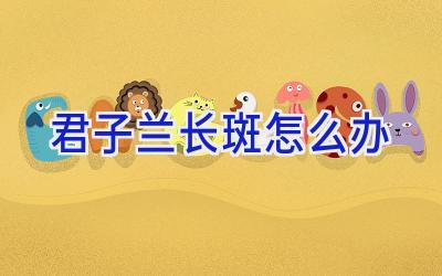 君子兰长斑怎么办插图