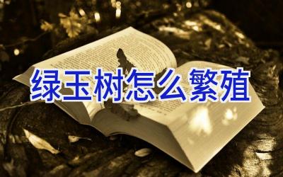 绿玉树怎么繁殖插图