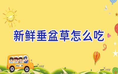 新鲜垂盆草怎么吃插图