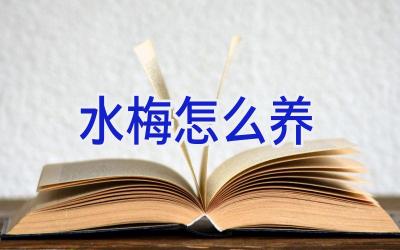 水梅怎么养插图