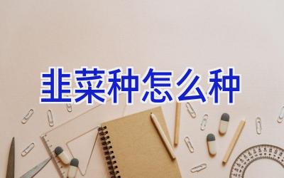 韭菜种怎么种插图