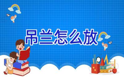 吊兰怎么放插图 吊兰怎么放插图