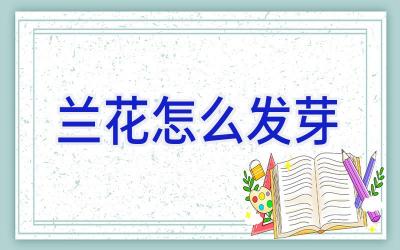 兰花怎么发芽插图 兰花怎么发芽插图