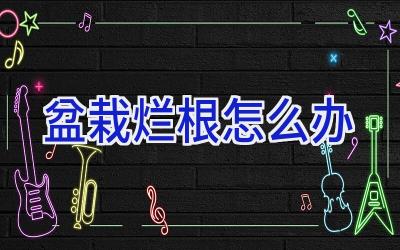 盆栽烂根怎么办插图 盆栽烂根怎么办插图