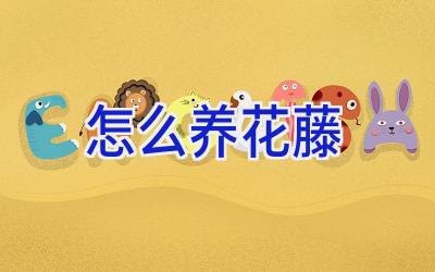 怎么养花藤插图 怎么养花藤插图