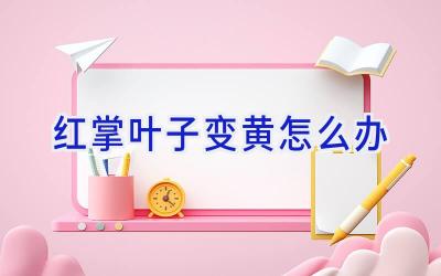 红掌叶子变黄怎么办插图