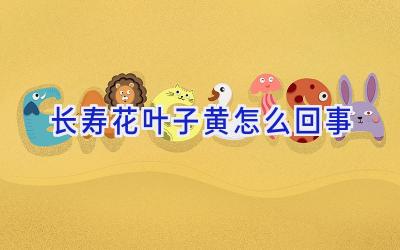 长寿花叶子黄怎么回事插图