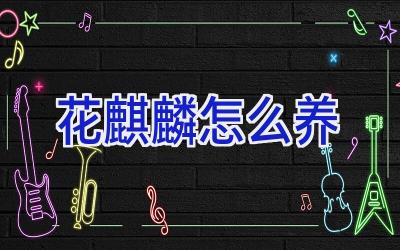 花麒麟怎么养插图