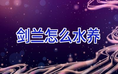 剑兰怎么水养插图 剑兰怎么水养插图