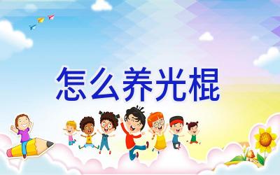 怎么养光棍插图 怎么养光棍插图