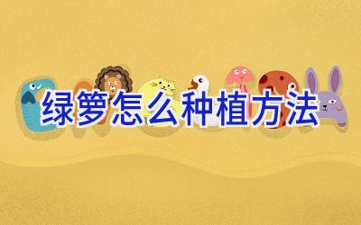 绿箩怎么种植方法插图 绿箩怎么种植方法插图