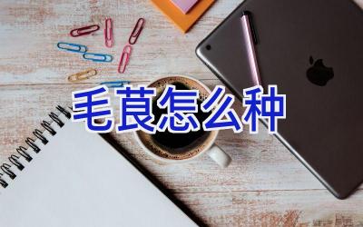 毛茛怎么种插图