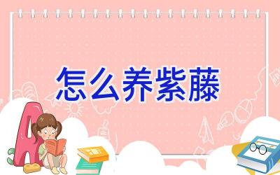 怎么养紫藤插图 怎么养紫藤插图