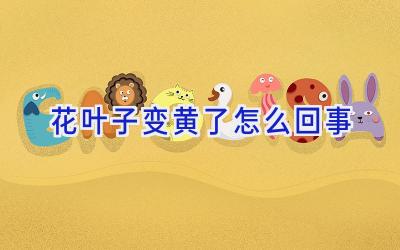 花叶子变黄了怎么回事插图 花叶子变黄了怎么回事插图