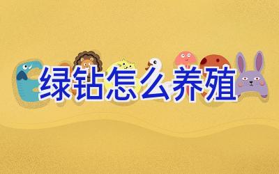 绿钻怎么养殖插图 绿钻怎么养殖插图