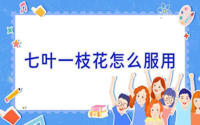 七叶一枝花怎么服用插图