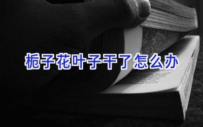 栀子花叶子干了怎么办插图 栀子花叶子干了怎么办插图