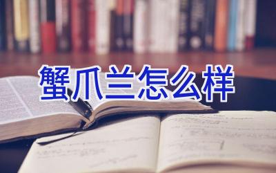 蟹爪兰怎么样插图 蟹爪兰怎么样插图