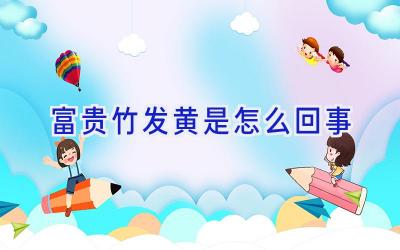 富贵竹发黄是怎么回事插图 富贵竹发黄是怎么回事插图