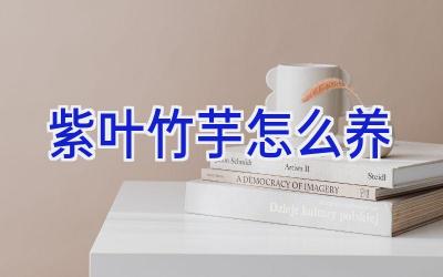 紫叶竹芋怎么养插图 紫叶竹芋怎么养插图