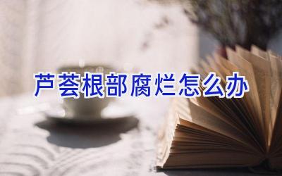 芦荟根部腐烂怎么办插图