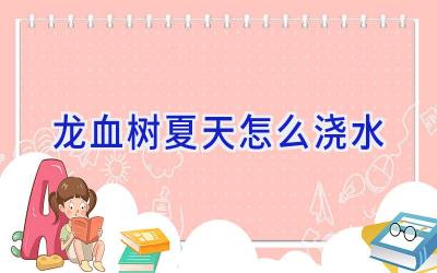 龙血树夏天怎么浇水插图