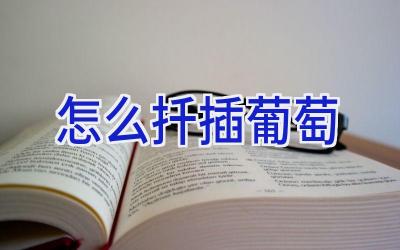 怎么扦插葡萄插图