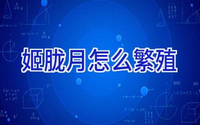 姬胧月怎么繁殖插图