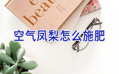 空气凤梨怎么施肥插图