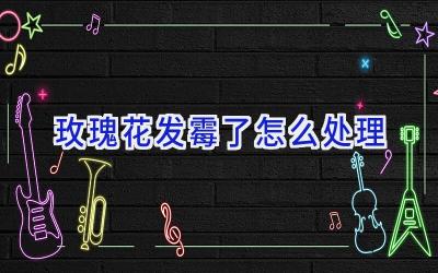 玫瑰花发霉了怎么处理插图 玫瑰花发霉了怎么处理插图