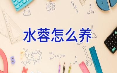 水蓉怎么养插图