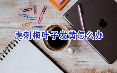 虎刺梅叶子发黄怎么办插图