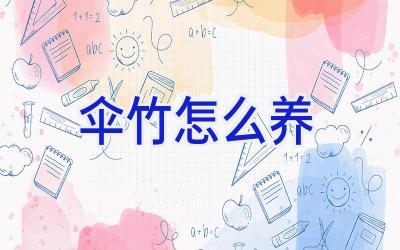 伞竹怎么养插图 伞竹怎么养插图