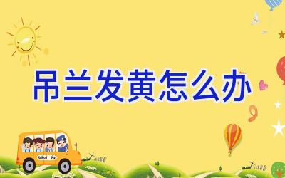 吊兰发黄怎么办插图