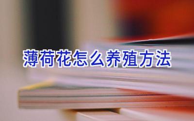 薄荷花怎么养殖方法插图