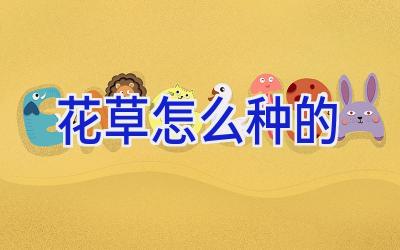 花草怎么种的插图 花草怎么种的插图