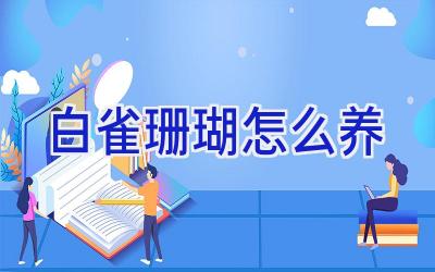 白雀珊瑚怎么养插图 白雀珊瑚怎么养插图