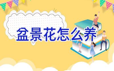 盆景花怎么养插图 盆景花怎么养插图